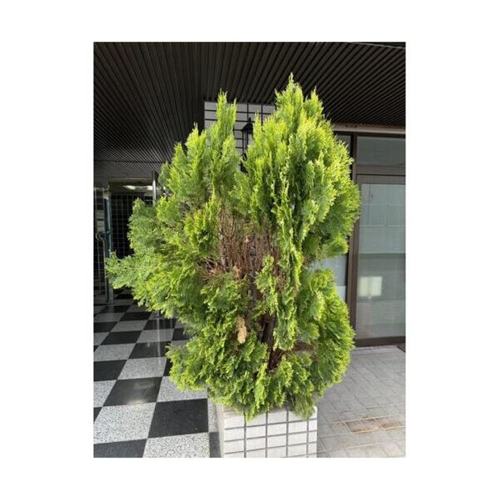 グローリーハイツ東成201のその他画像