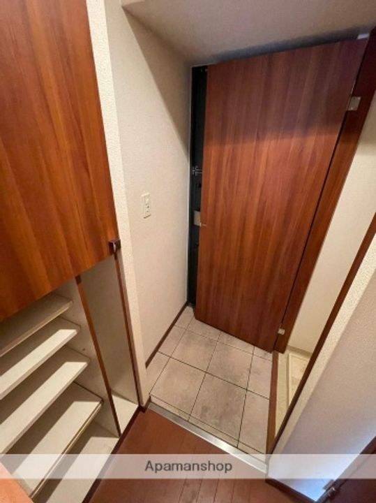 大阪府大阪市中央区高津2丁目の賃貸マンションの玄関