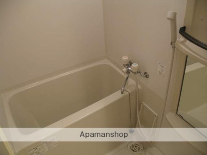 大阪府大阪市中央区安堂寺町2丁目の賃貸マンションの風呂