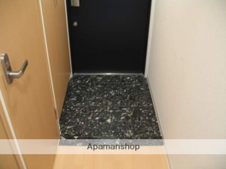 大阪府大阪市中央区安堂寺町2丁目の賃貸マンションの玄関