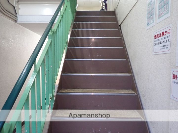 ブーゲンビリアのその他画像