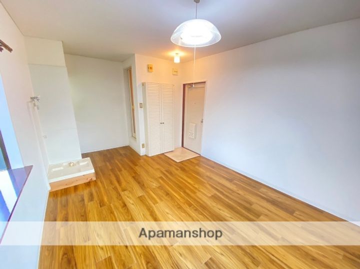 大阪府守口市八雲東町1丁目の賃貸マンションの内装