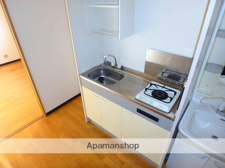 大阪府門真市垣内町の賃貸マンションのキッチン