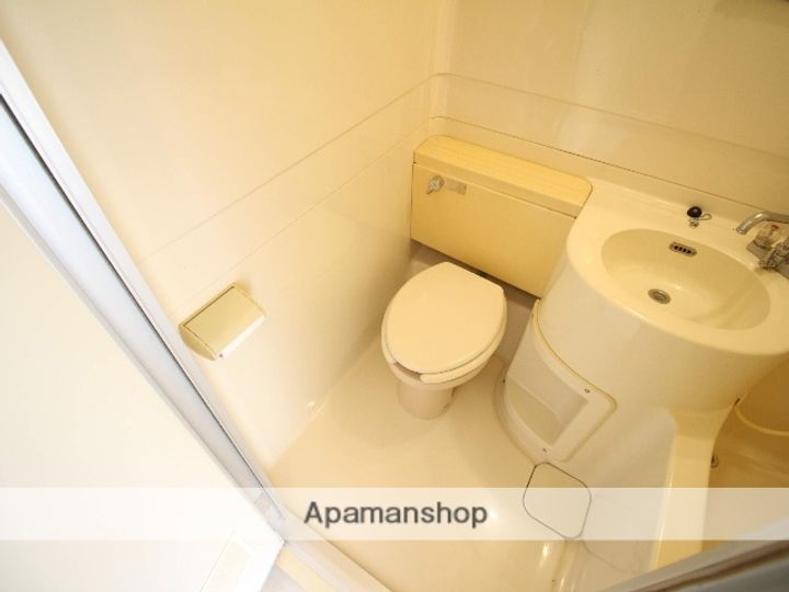 カーサカトレアのその他画像