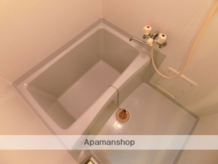 京都府京田辺市大住責谷の賃貸マンションの風呂