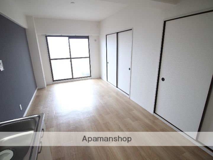 大阪府枚方市天之川町の賃貸マンションの内装