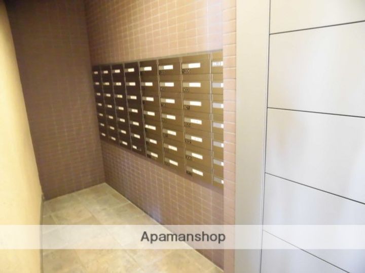 ヴェルデュールカーのその他画像