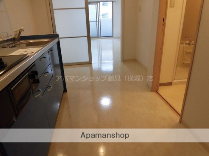 大阪府大阪市城東区関目6丁目の賃貸マンションの内装