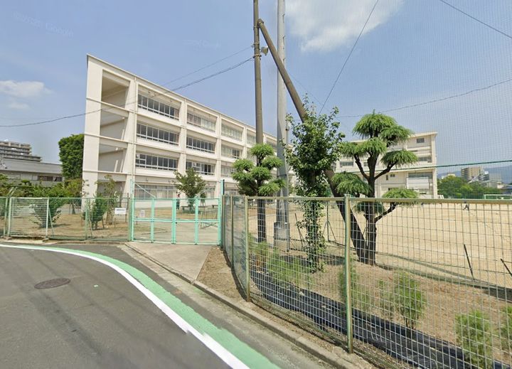 Ranunculusの周辺