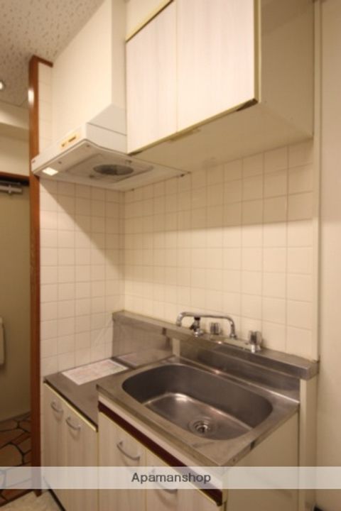 大阪府池田市住吉1丁目の賃貸マンションのキッチン