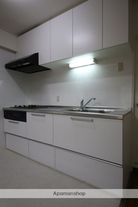 大阪府箕面市箕面8丁目の賃貸マンションのキッチン