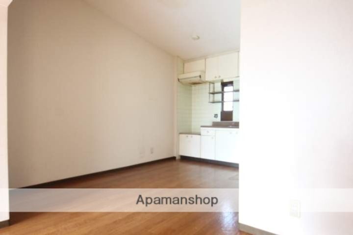 大阪府池田市石橋3丁目の賃貸マンションの内装