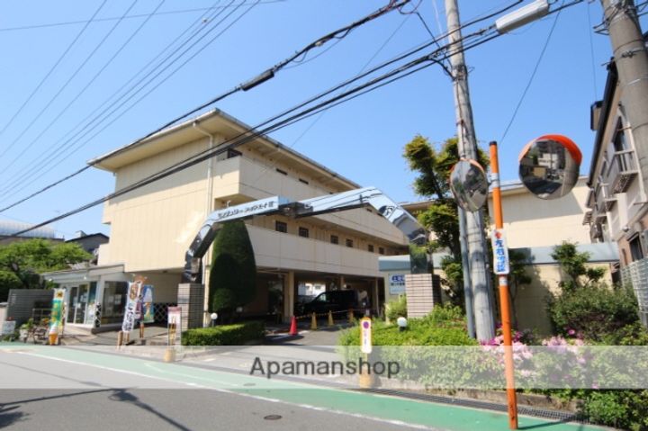 センチュリーショウエイⅢの外観