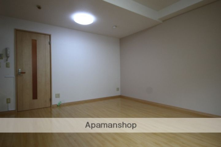 大阪府池田市室町の賃貸マンションの内装