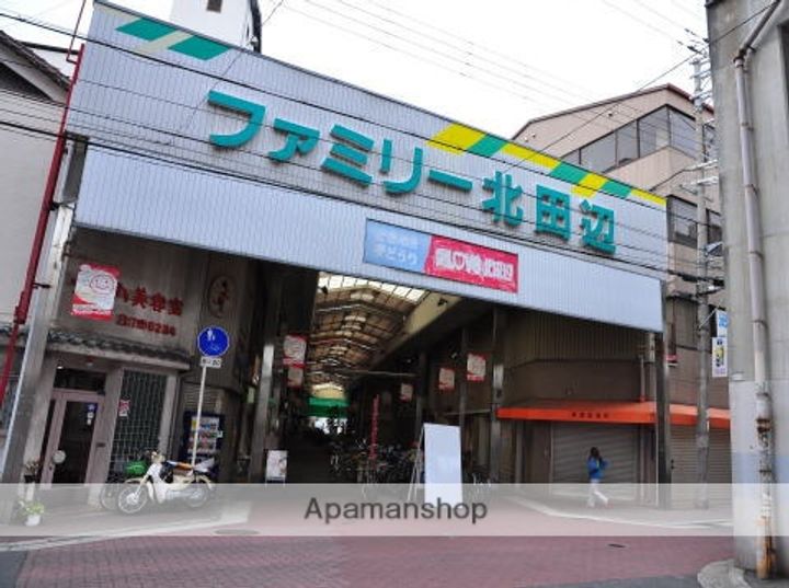シャーメゾン エイワ北田辺の周辺