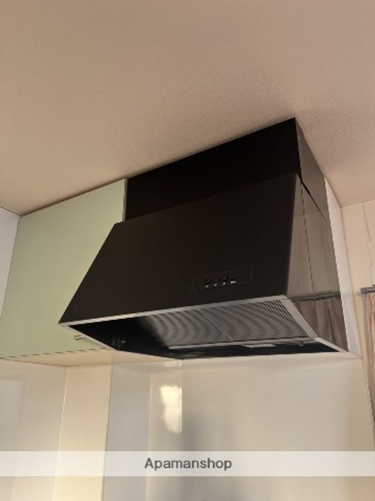 大阪府大阪市東住吉区杭全8丁目の賃貸マンションの内装