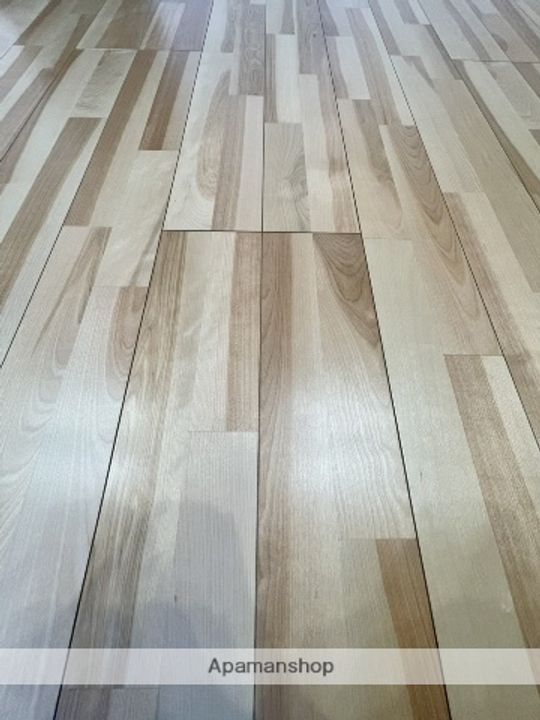 シャーメゾン ソ・ラ・ナの居間