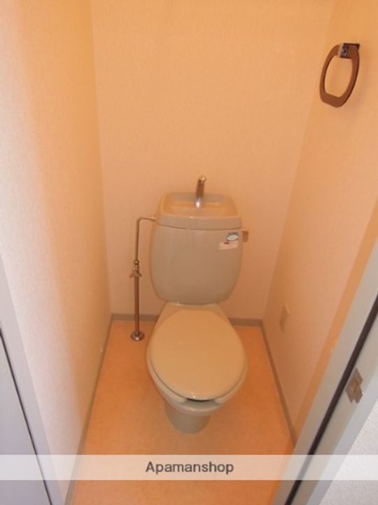 ウィンディアコスモスのその他画像