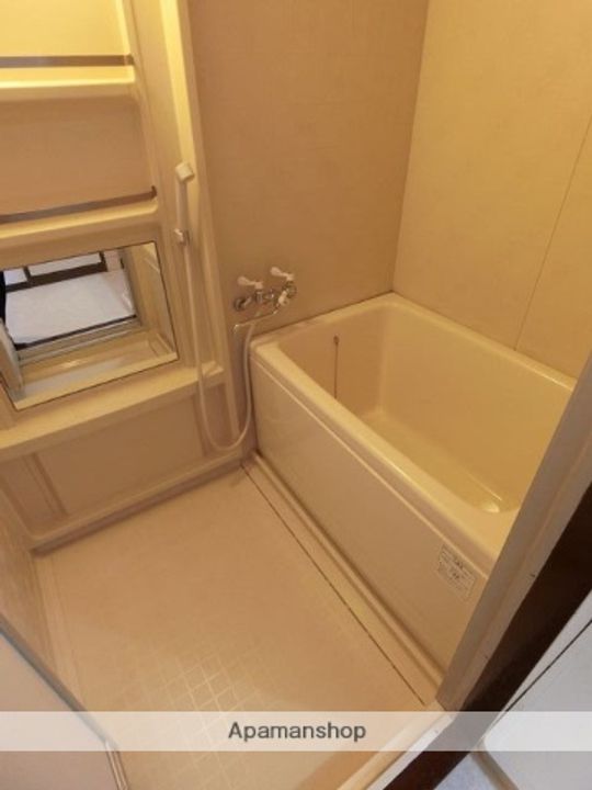 大阪府堺市北区百舌鳥陵南町3丁の賃貸マンションの風呂