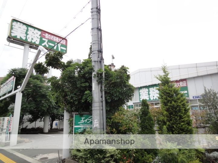 ライプハイツC-1の周辺