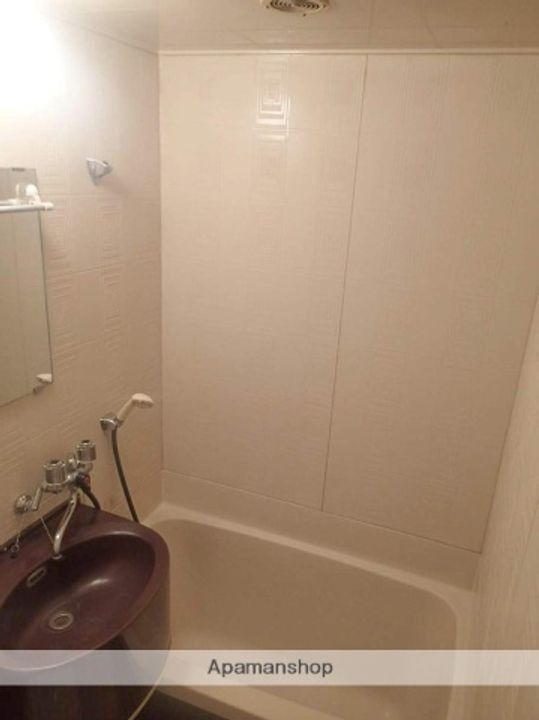 大阪府大阪市中央区森ノ宮中央2丁目の賃貸マンションの風呂