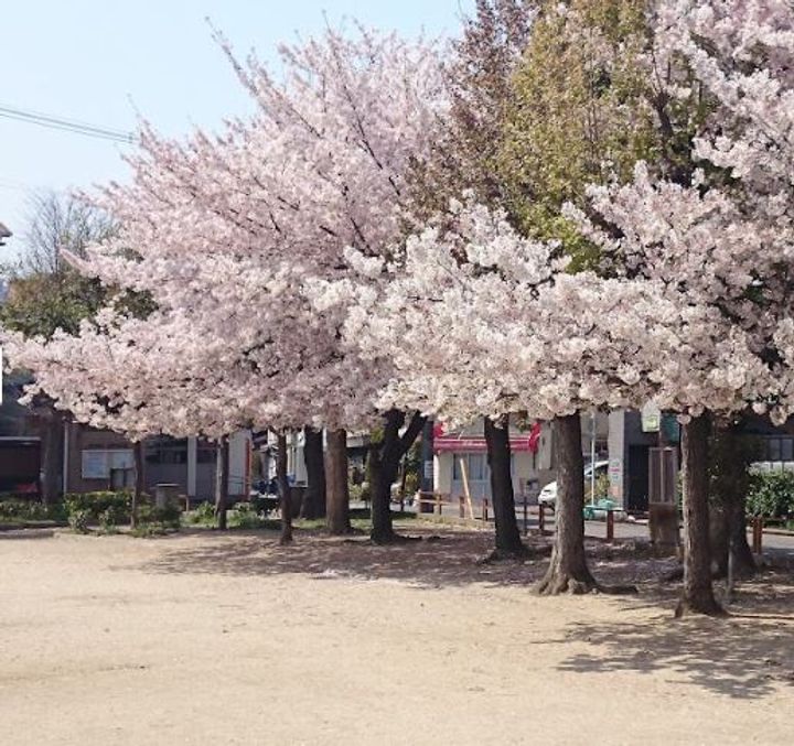 M’プラザ城東参番館の周辺