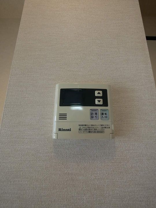 大阪府大阪市此花区西九条3丁目の賃貸マンションの内装