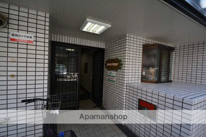 ホワイトグロリア703のその他画像