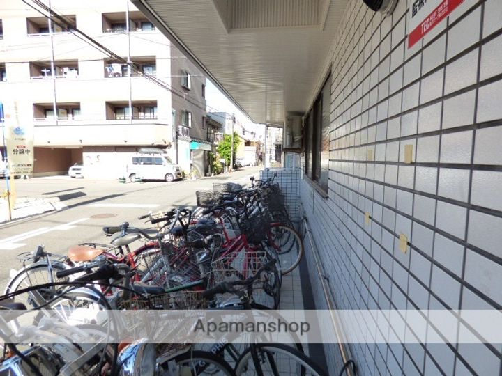 ホワイトグロリア703のその他画像