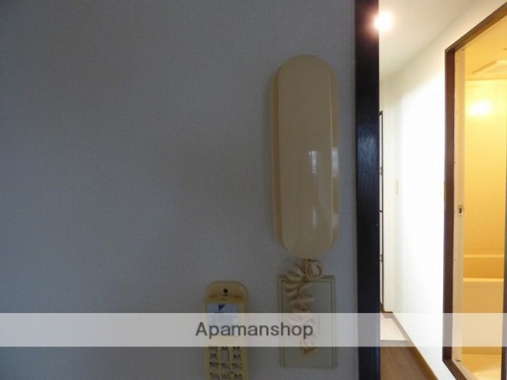 ホワイトグロリア703のその他画像