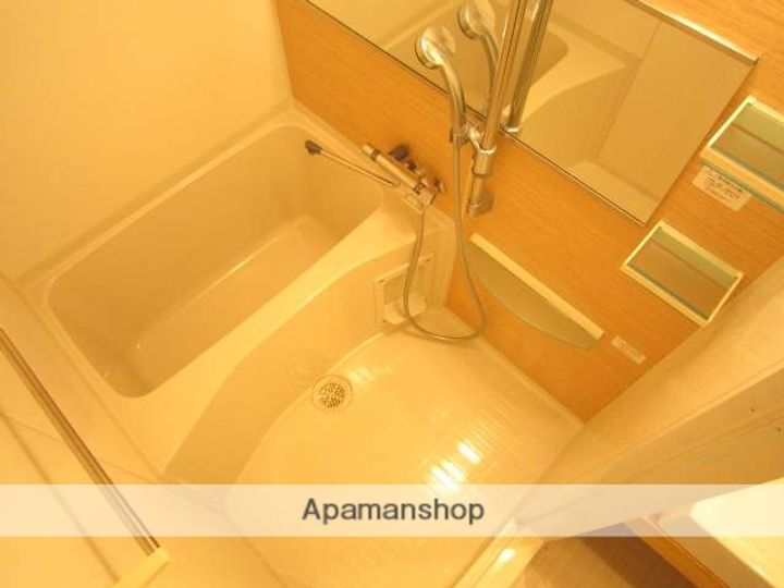 アドバンス上町台ラシュレの風呂