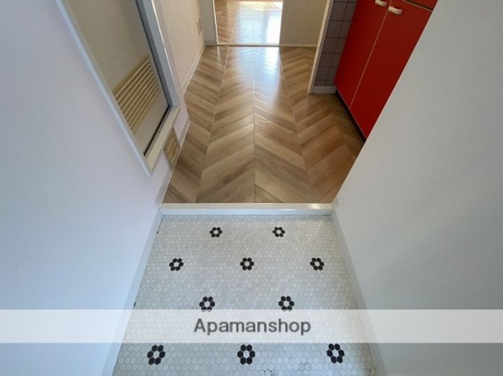 ネクスプロス弐番館501の玄関