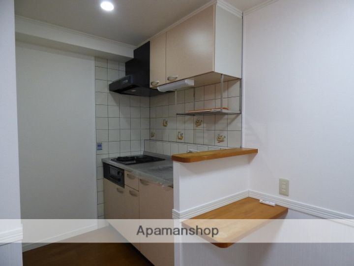 リバーライズ東小橋507のキッチン