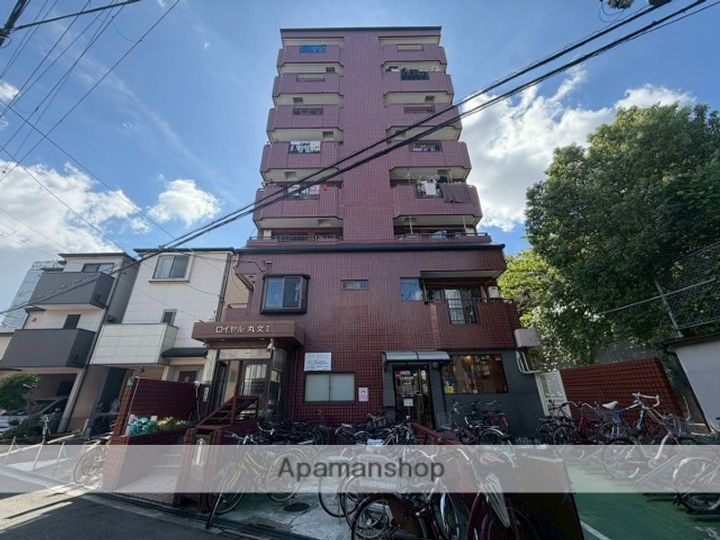 ロイヤル丸文Ⅱ805の外観