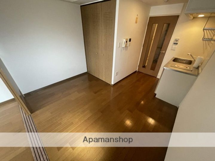 大阪府大阪市平野区平野上町1丁目の賃貸マンション502の内装