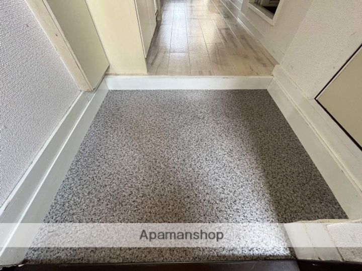 大阪府大阪市平野区加美西2丁目の賃貸マンション307の玄関