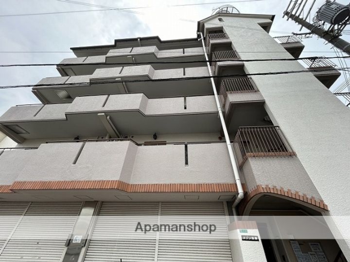 大阪府大阪市平野区加美東7丁目の賃貸マンション501の外観