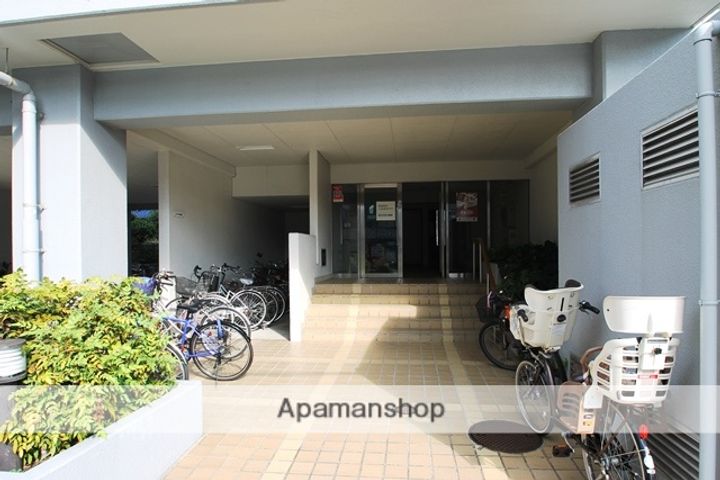 シャンティマサノのその他画像