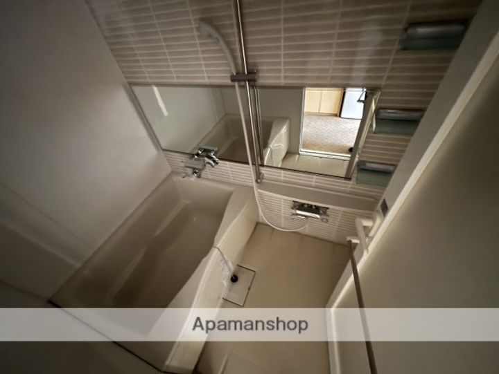 メゾン淀川の風呂