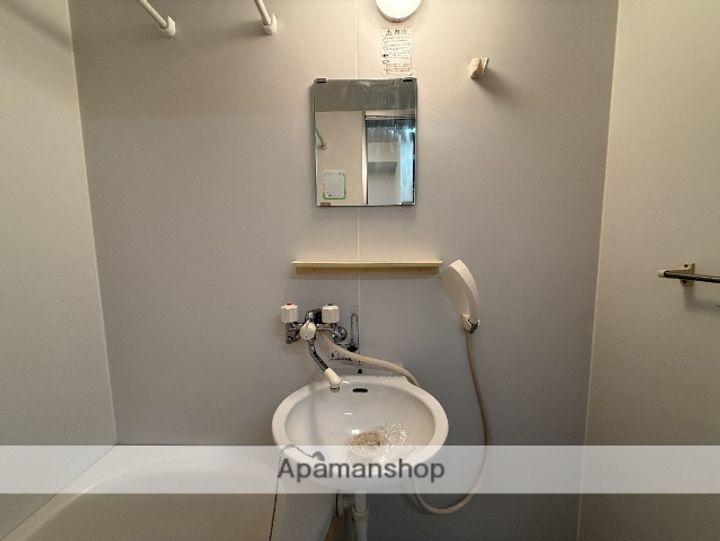 マンハイムⅡのその他画像