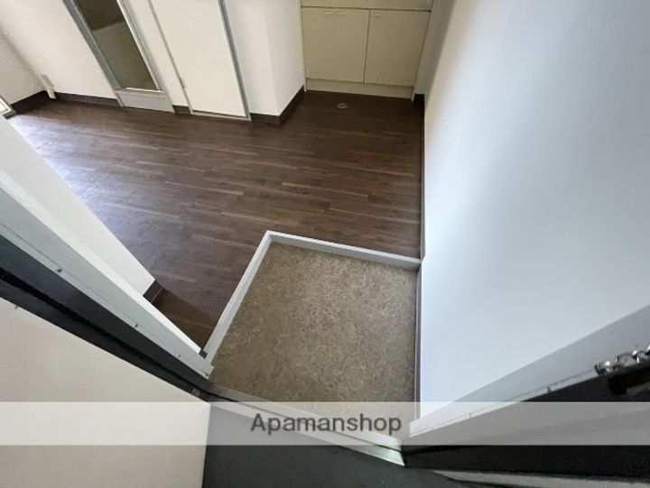 ライズワン下新庄の玄関