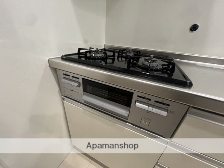 大阪府大阪市淀川区西宮原2丁目の賃貸マンションの内装