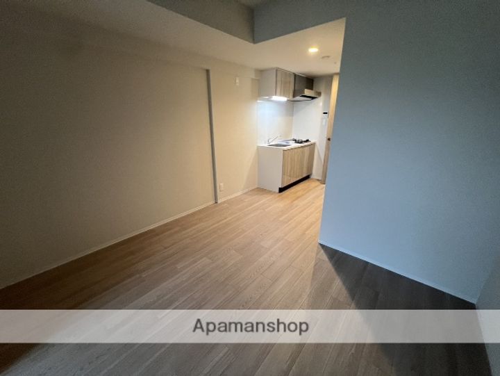 大阪府吹田市芳野町の賃貸マンションの内装