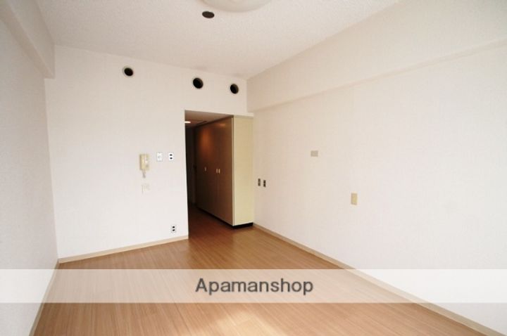 大阪府大阪市東淀川区東中島1丁目の賃貸マンションの内装