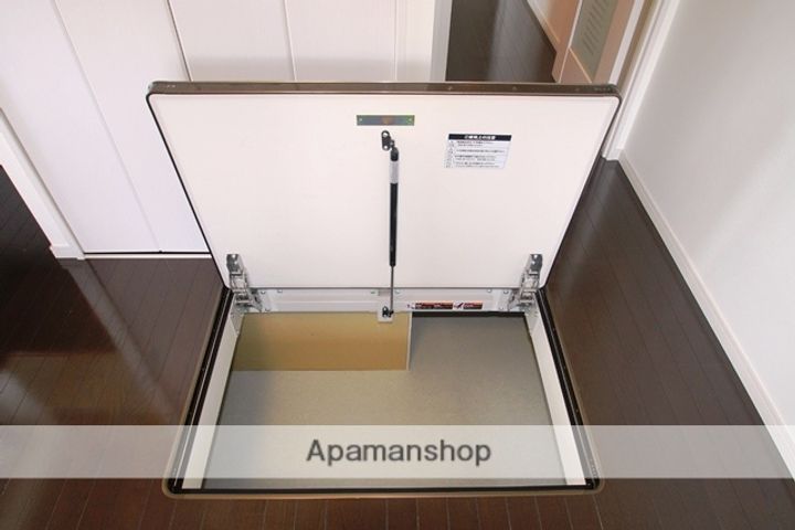 大阪府大阪市淀川区木川東4丁目の賃貸マンションの内装