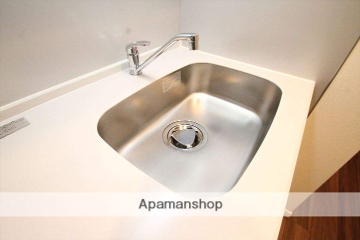 大阪府吹田市江坂町1丁目の賃貸マンションの内装