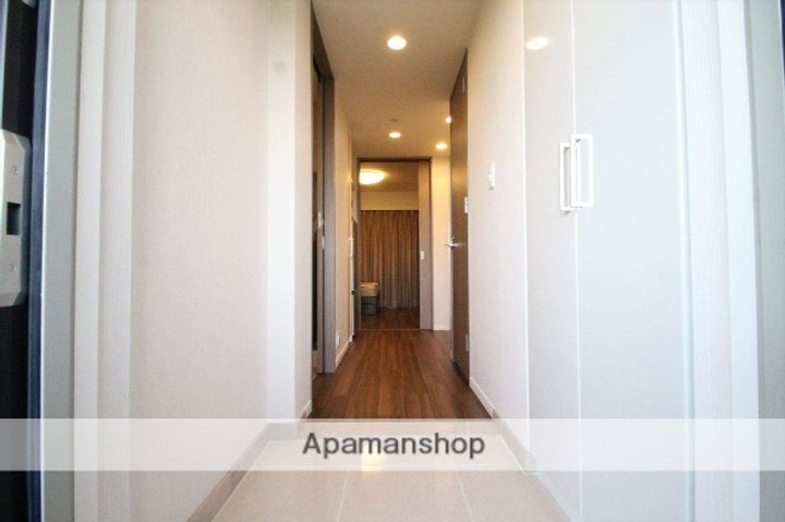 大阪府吹田市江坂町1丁目の賃貸マンションの玄関