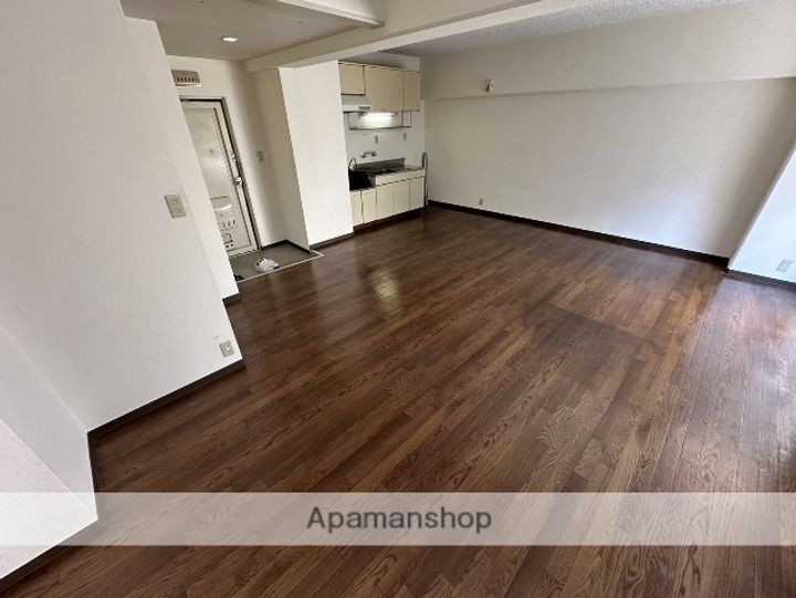 大阪府大阪市淀川区西中島6丁目の賃貸マンションの内装