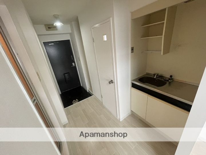 大阪府大阪市東淀川区下新庄6丁目の賃貸マンションの内装