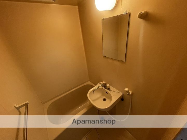 大阪府大阪市東淀川区下新庄6丁目の賃貸マンションの内装